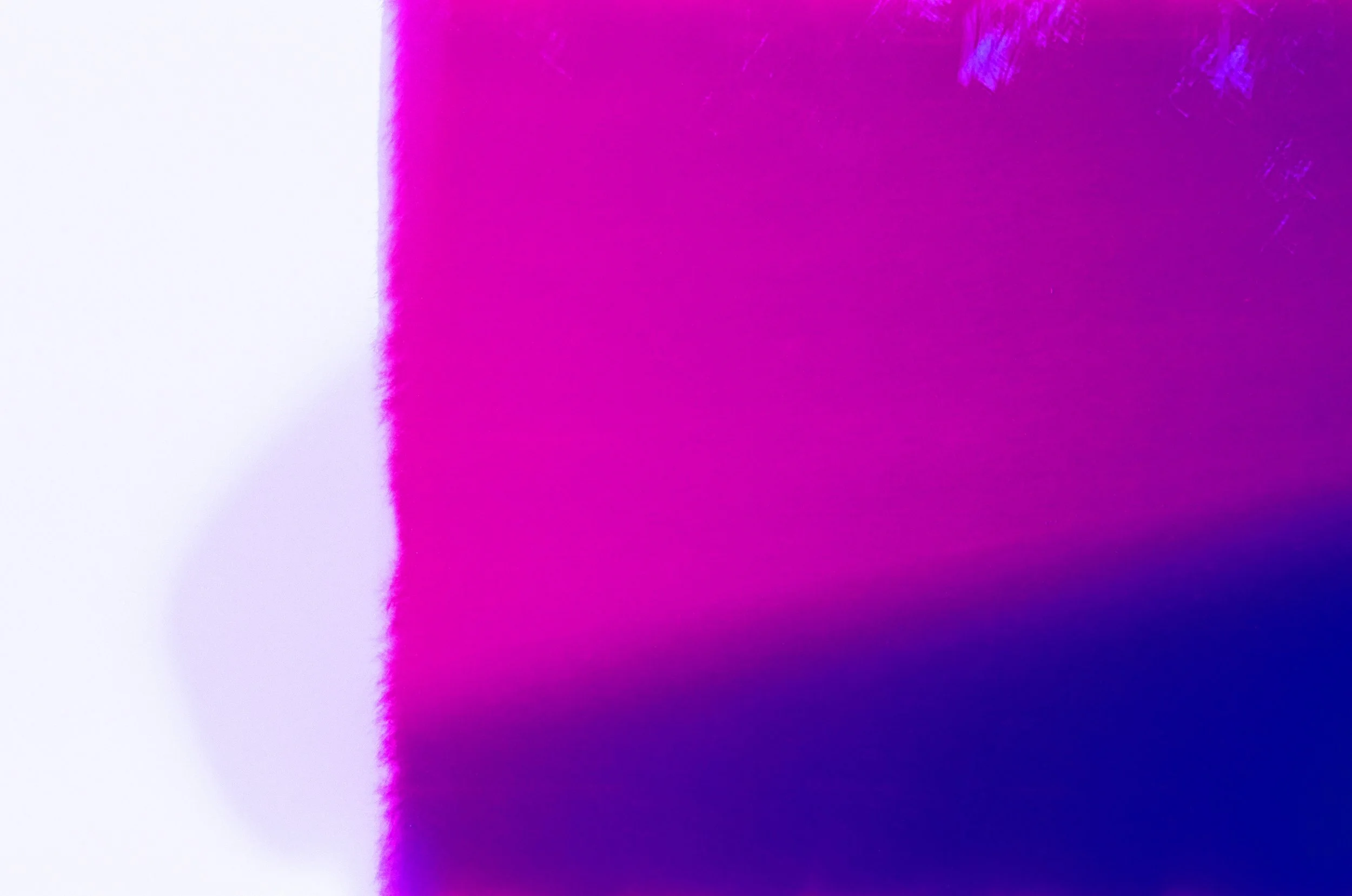 The First Frame