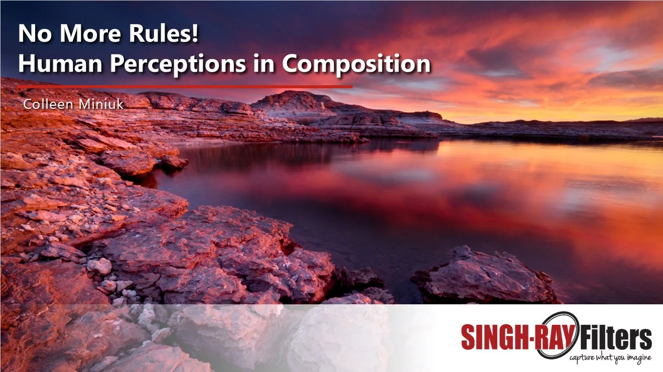 No More Rules! Human Perceptions in Composition webinar title slide
