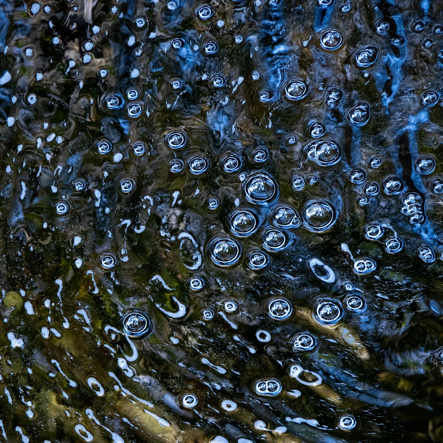 _0012811_p.jpg