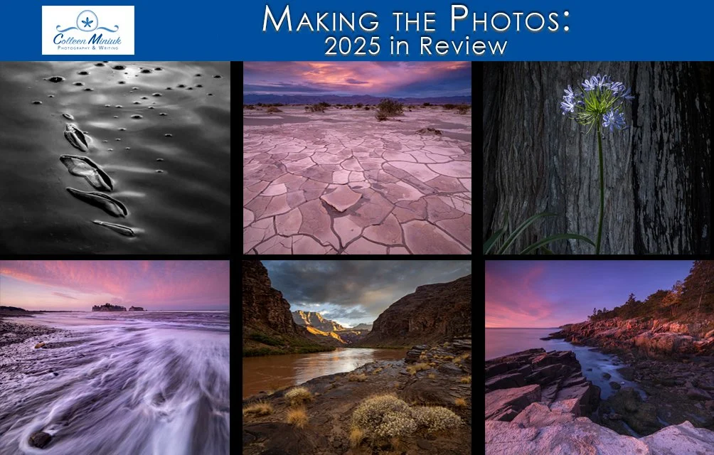"Making the Photo: 2025 in Review" Webinar