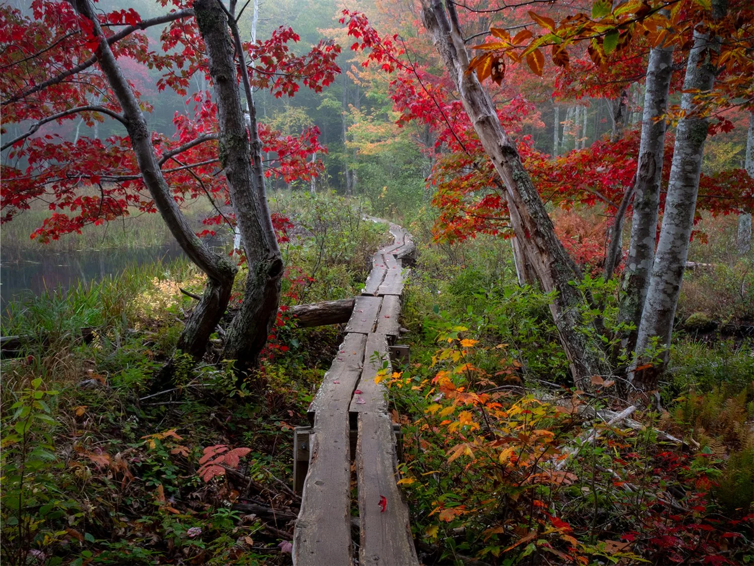 Maine_Acadia National Park_2410003_p.jpg