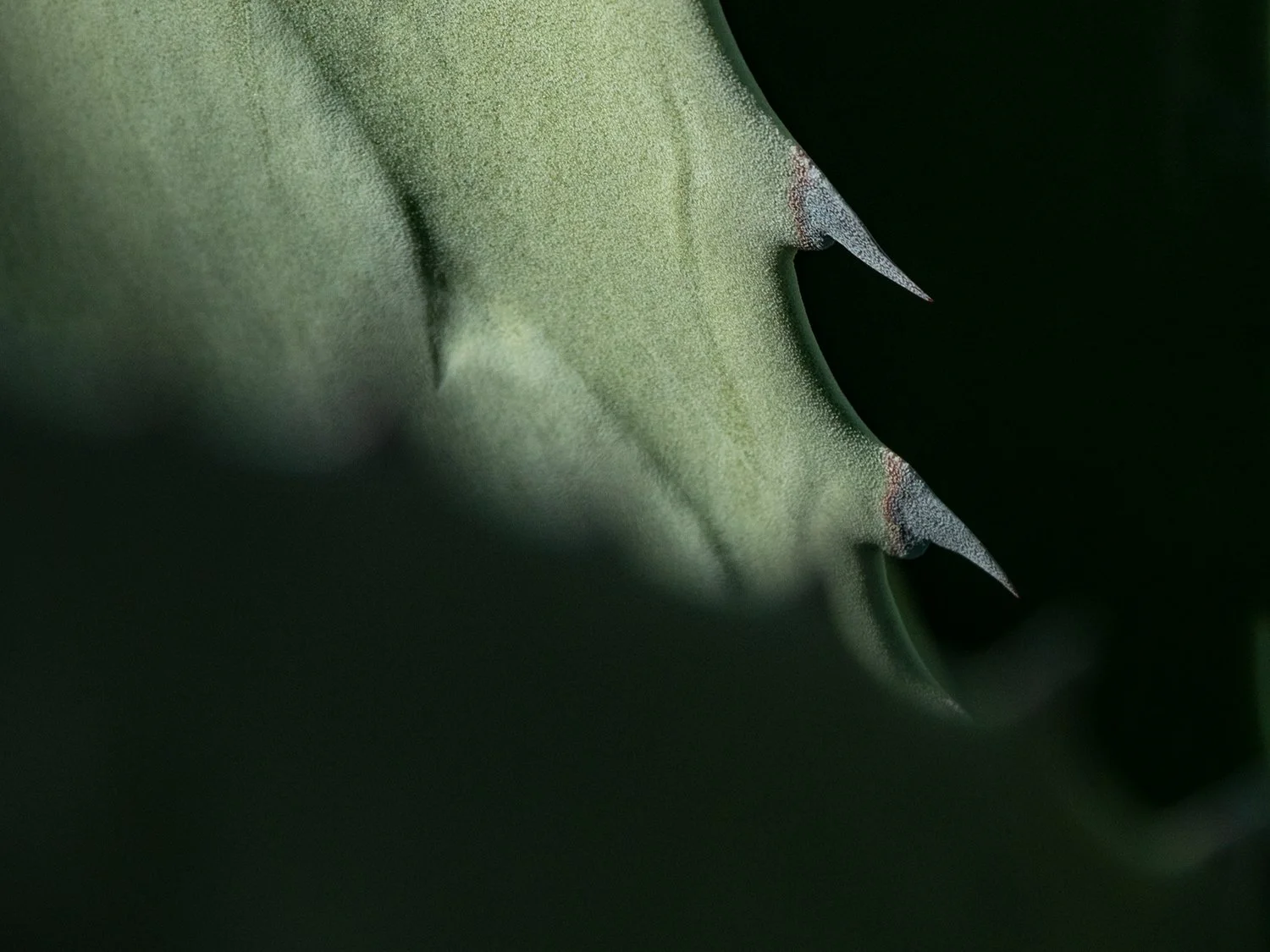 _1081714_horizontal_p.jpg