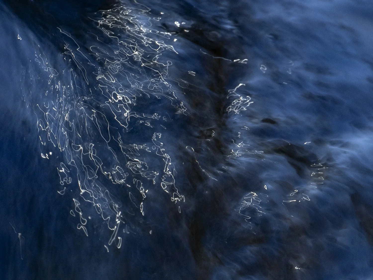 _6055006_p.jpg