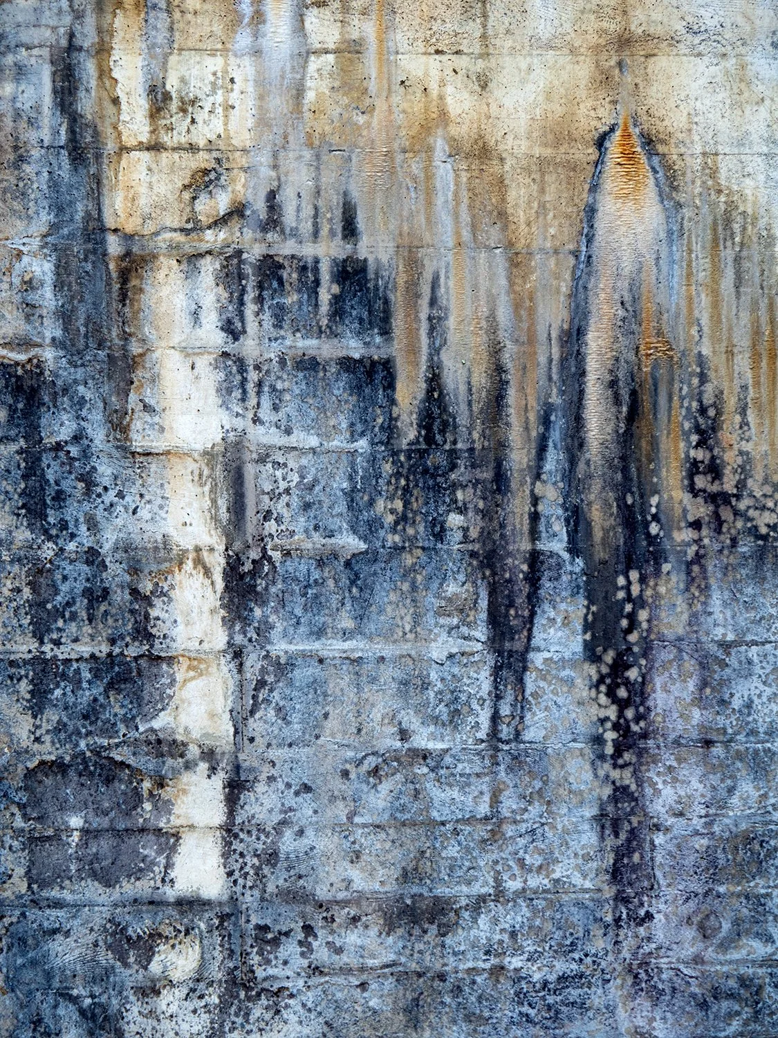 West Virginia_New River Gorge National Park_2404001_p.jpg