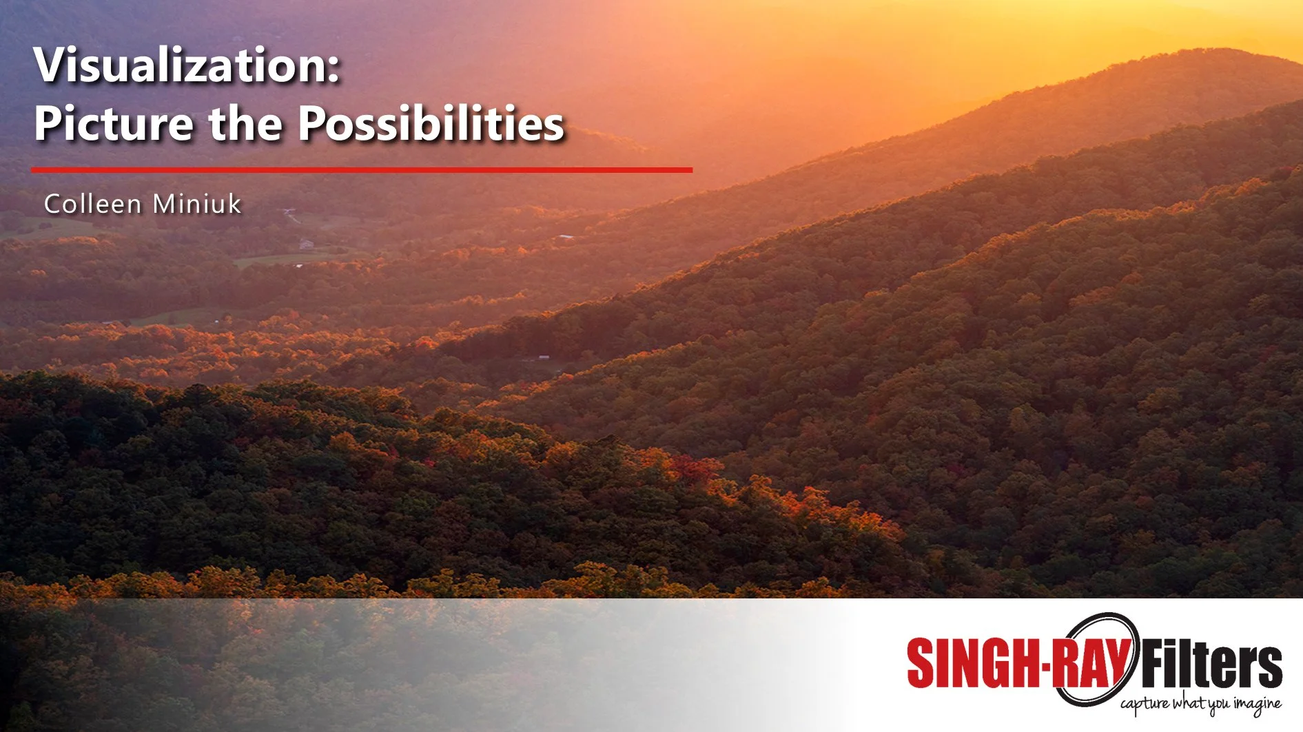 Visualization: Picture the Possibilities webinar title slide