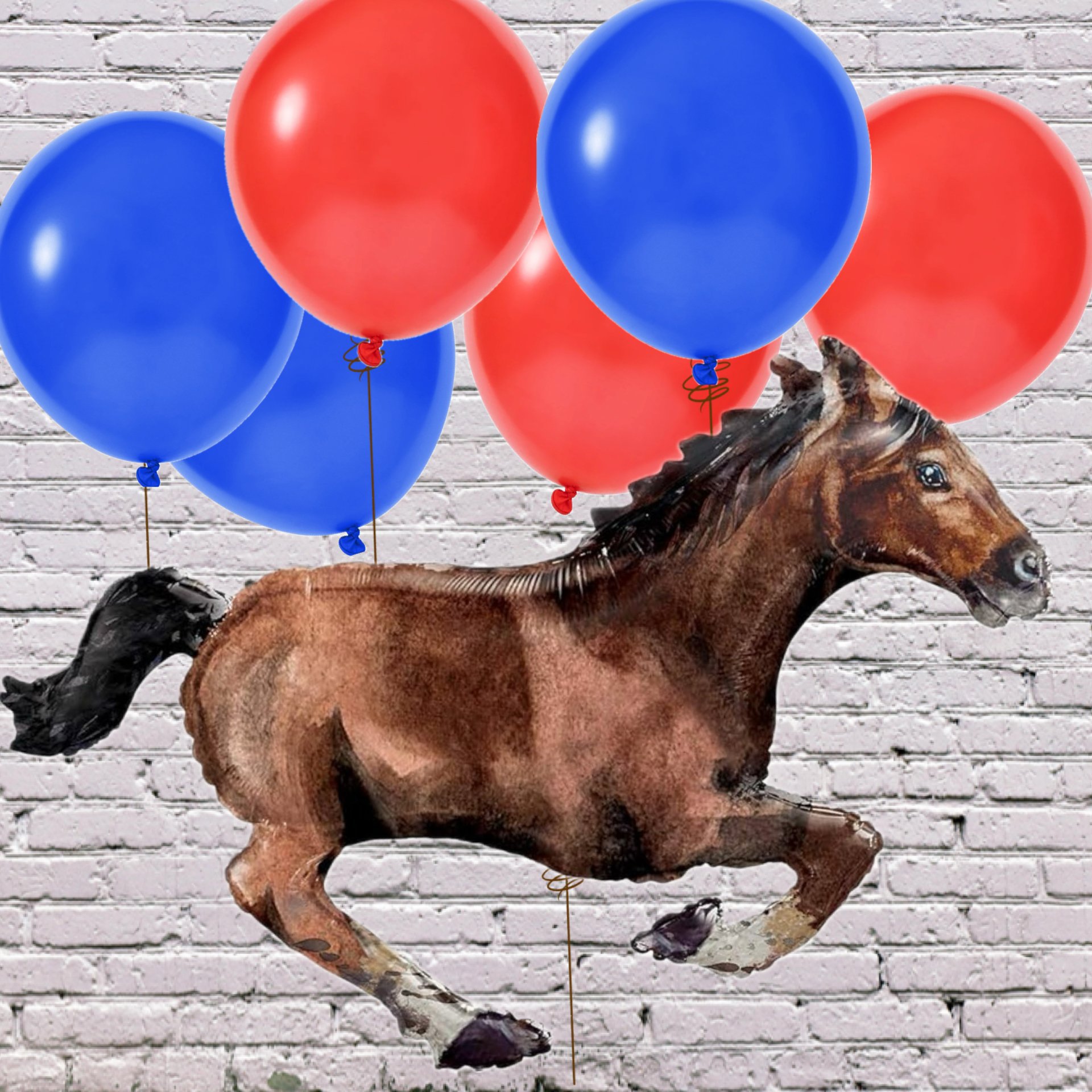 Pony Express Balloon Bundle