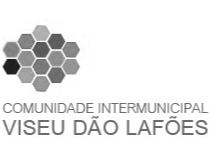 viseu-dao-lafoes.png
