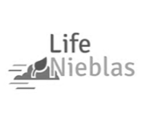 life-nieblas.png