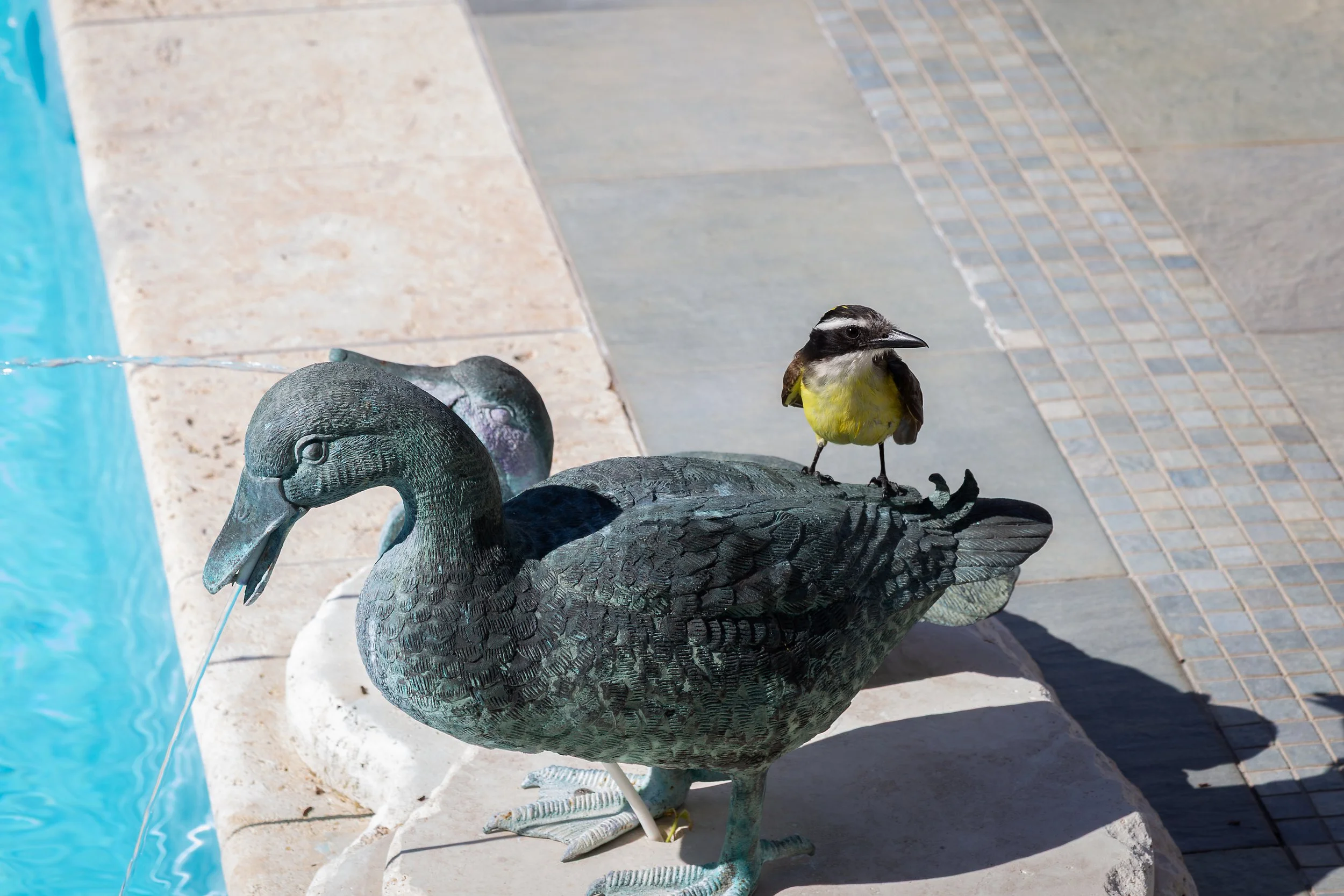 BZ6B0446-Edit.jpg