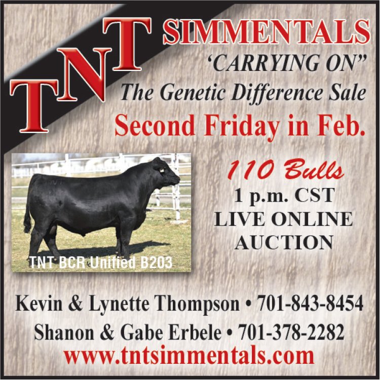 TNT Simmentals