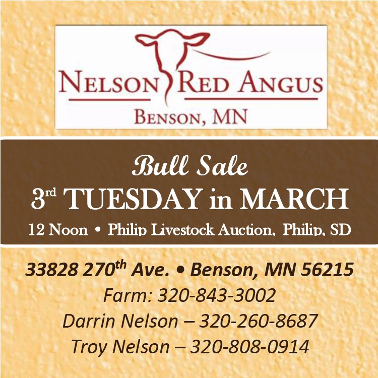 Nelson Red Angus