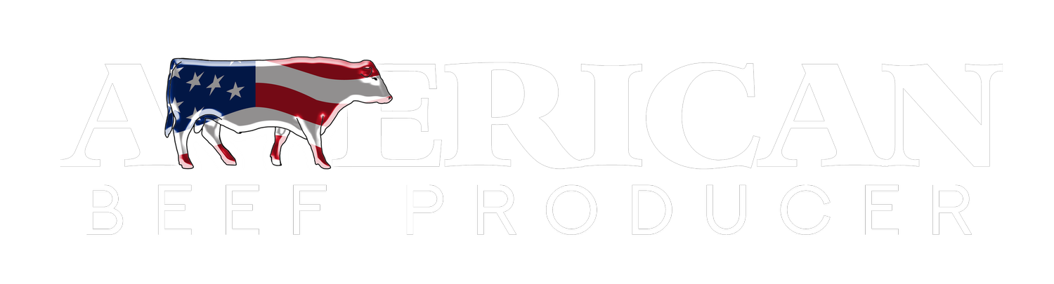American Beef Producer