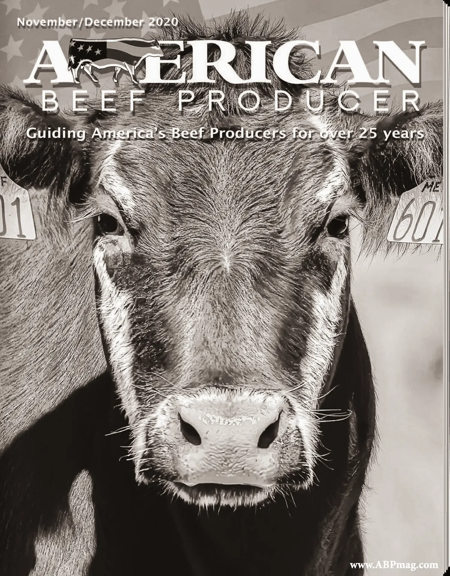 processed_ABPMag-NOV-DEC-2020_ABP-BW.webp