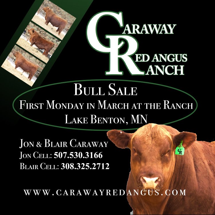 Caraway Red Angus Ranch