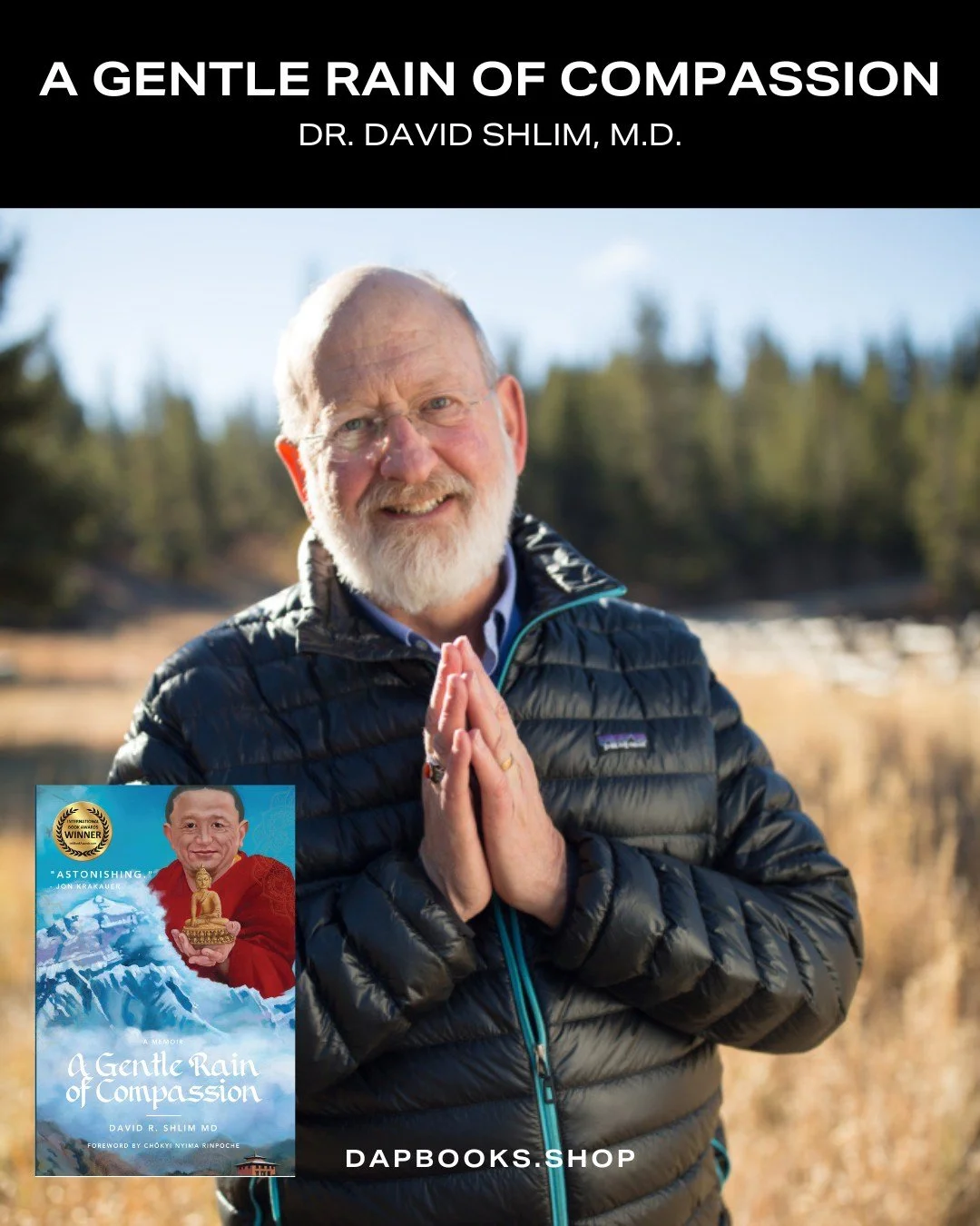 Dr. Shlim's book is the delightful memoir of an inveterate romantic, a passionate doctor, and a kind human being. Rarely do we come across someone so vital, so honest, so full of life. Available now at dapbooks.shop.

#agentlerainofcompassion #khatma