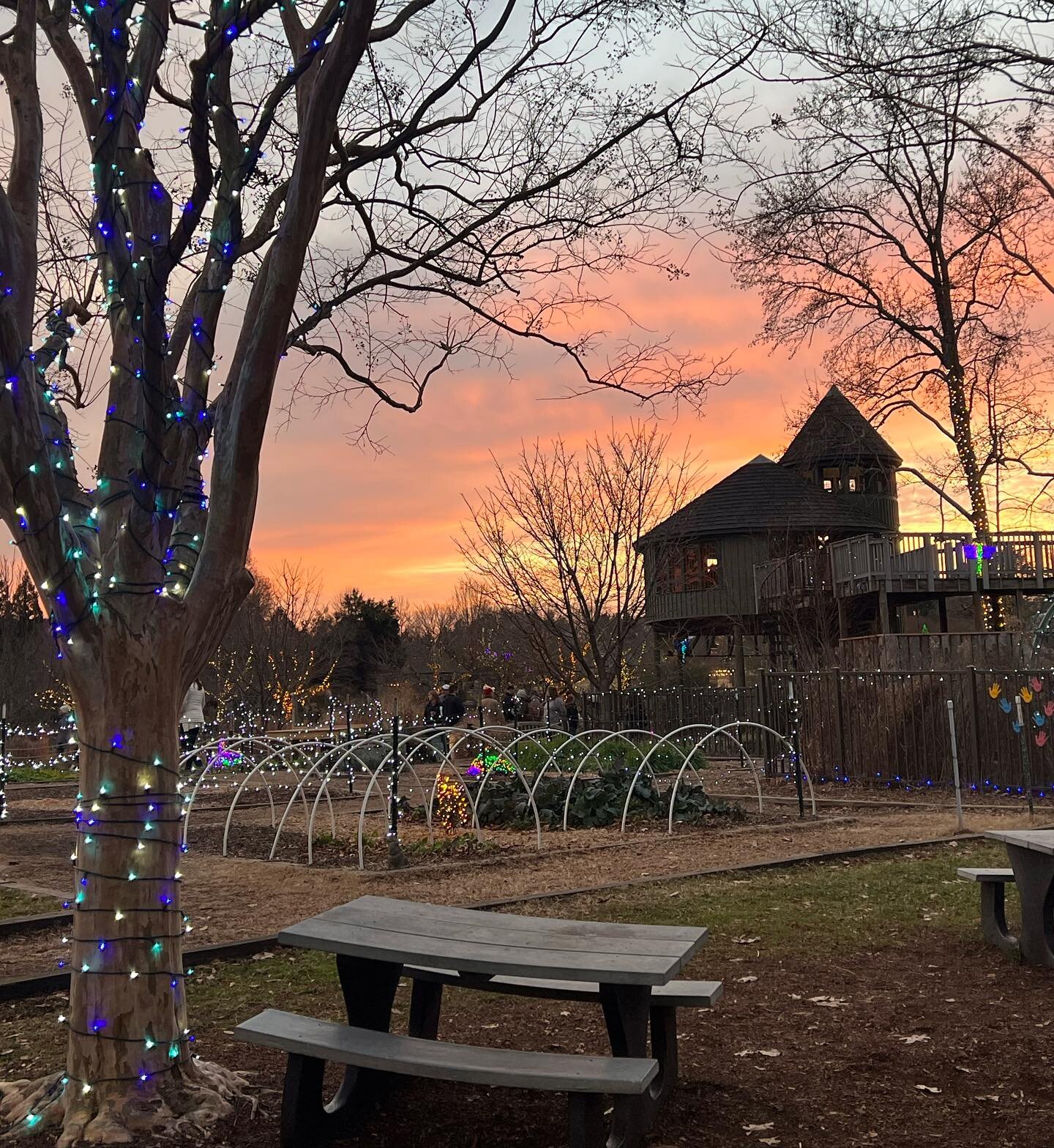 Come visit us at Lewis Ginter&rsquo;s Gardenfest of Lights tonight! We have sweet treats and hot drinks to keep your holiday spirit alive! ☕️✨🎁💫

Don&rsquo;t worry if you can&rsquo;t make it tonight, we&rsquo;ll be here through December 26th - Janu