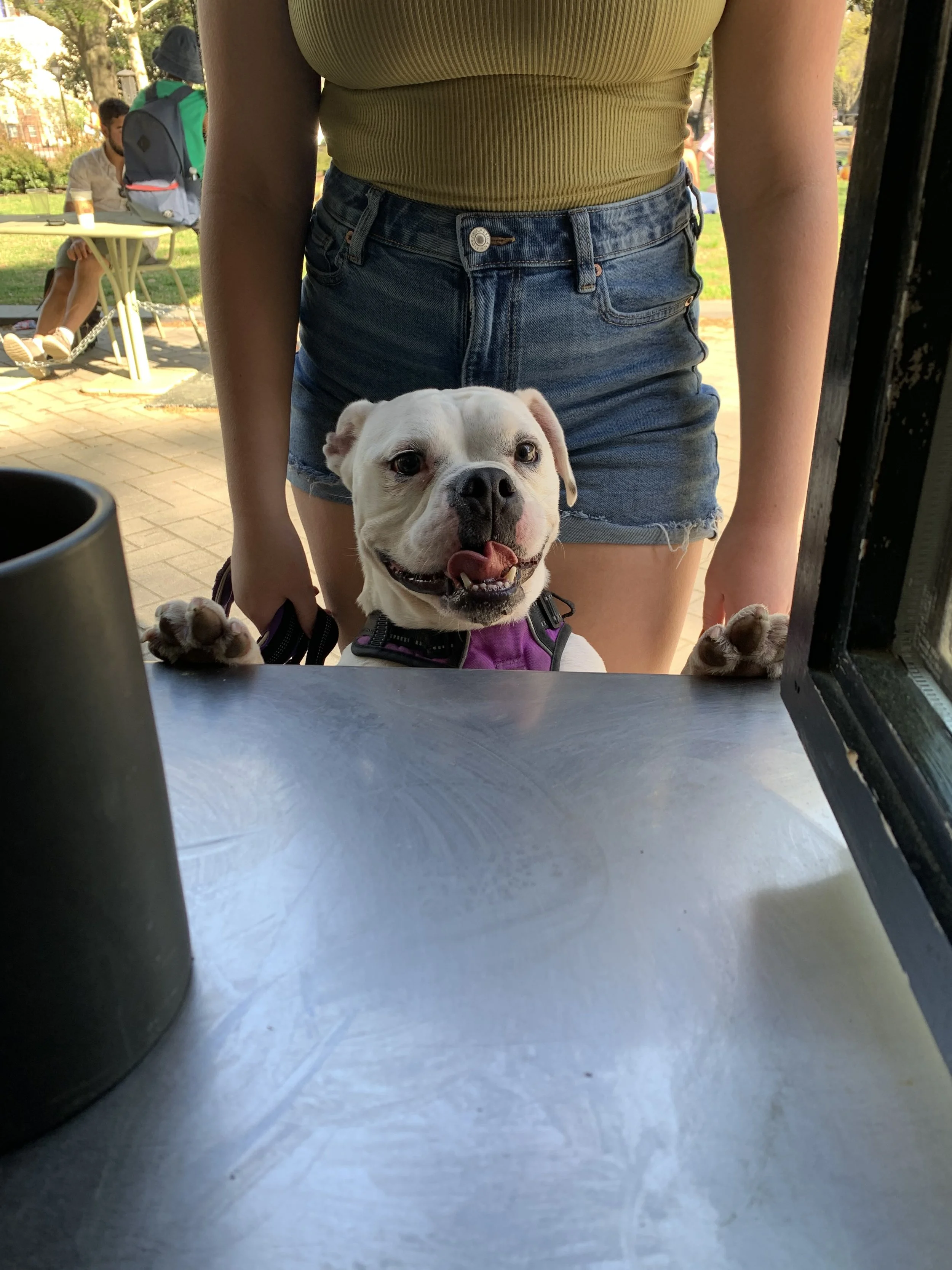 IMG_7306.jpeg