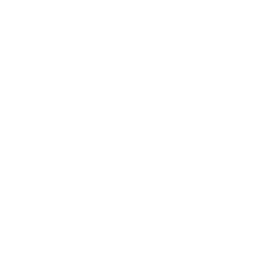CST Flight Services 