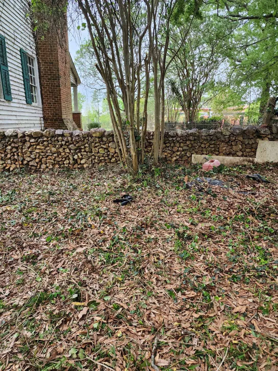 Yard 1.jpg