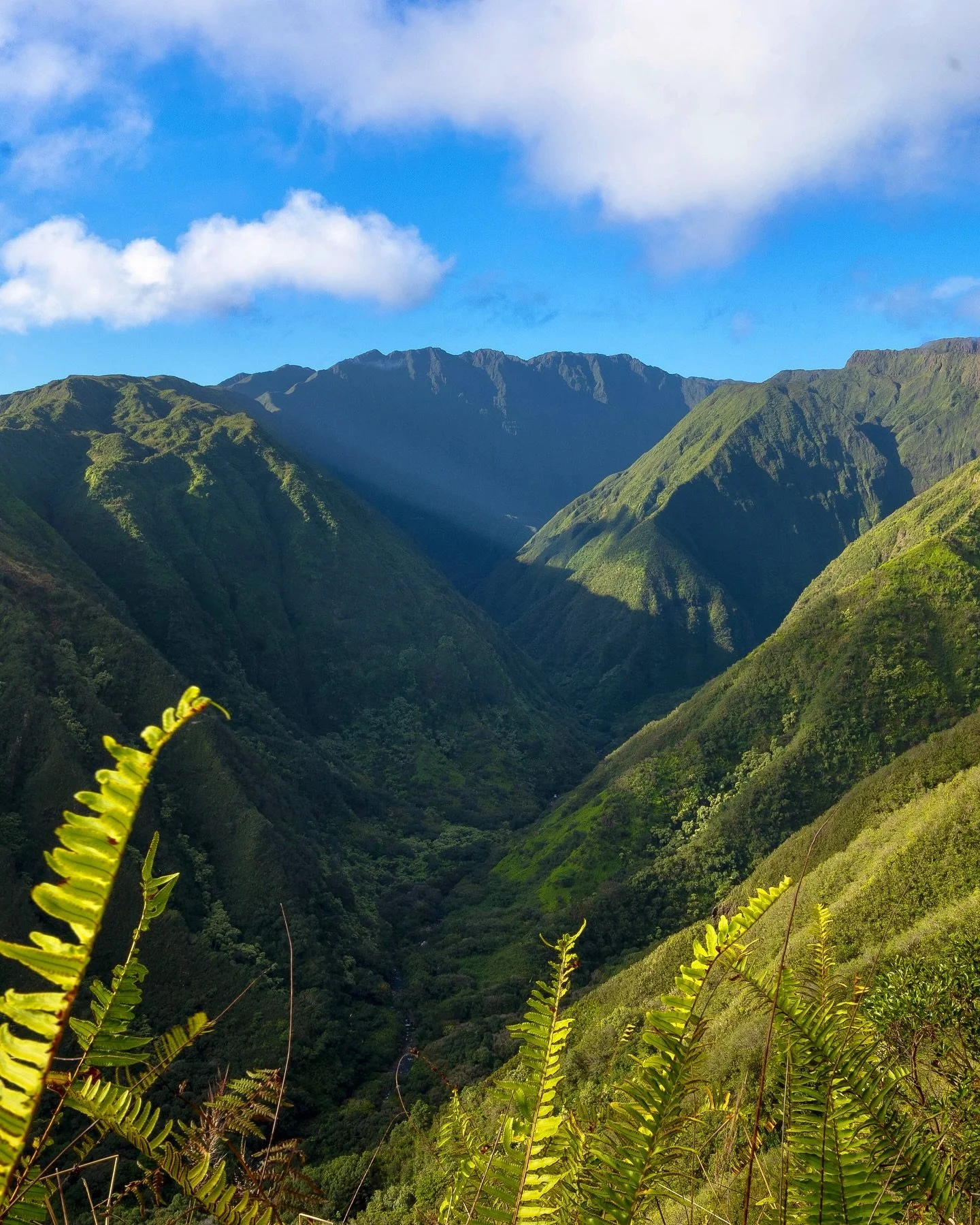 This trail will go down in history as one of my favorite hikes of all time ✨
.
.
.
.
#mauihawaii #maui #hawaiihikes #hawaiiadventure #travelphotography #sonyalpha #hiking #mauihiking