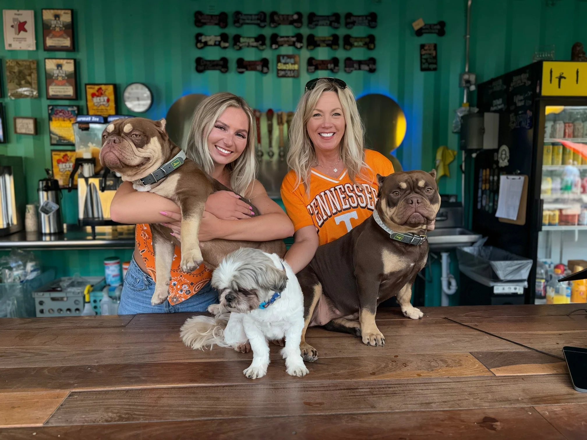 Coming in October: Wagbar Knoxville