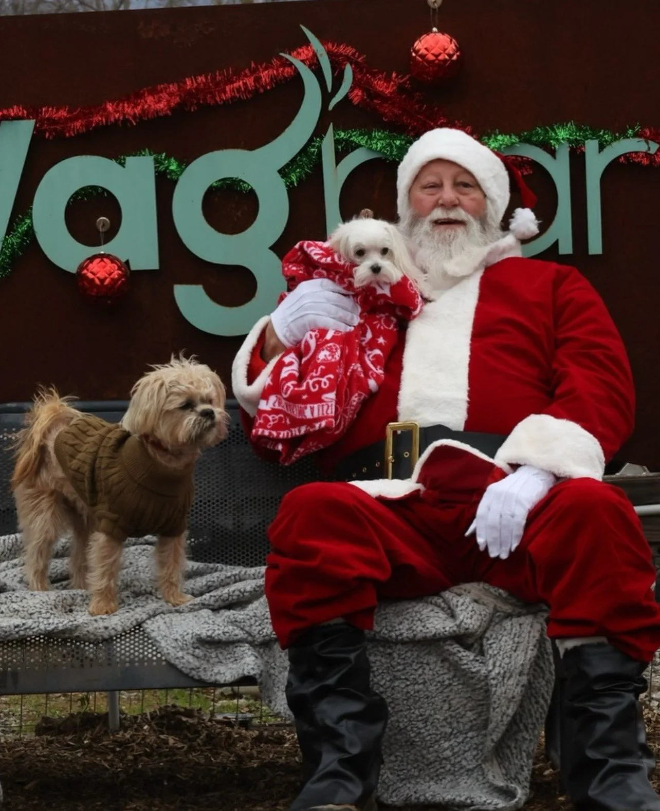 Santa is Coming to Wagbar