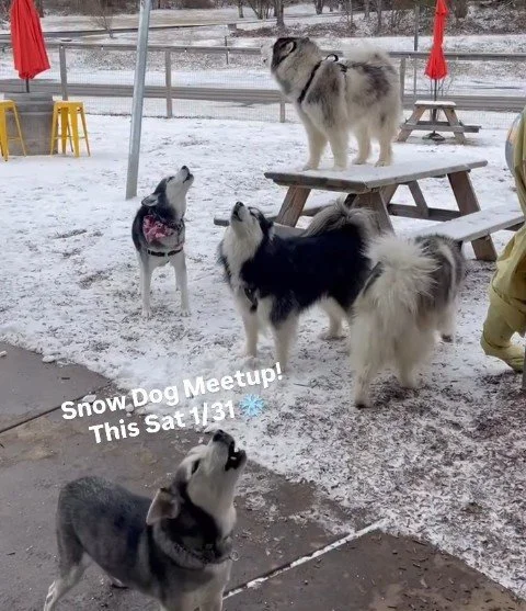 We're Open as Usual!