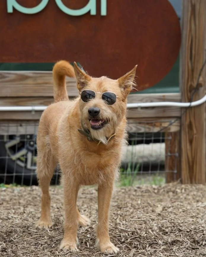 You Could Be Doing Anything...Or Be Here!