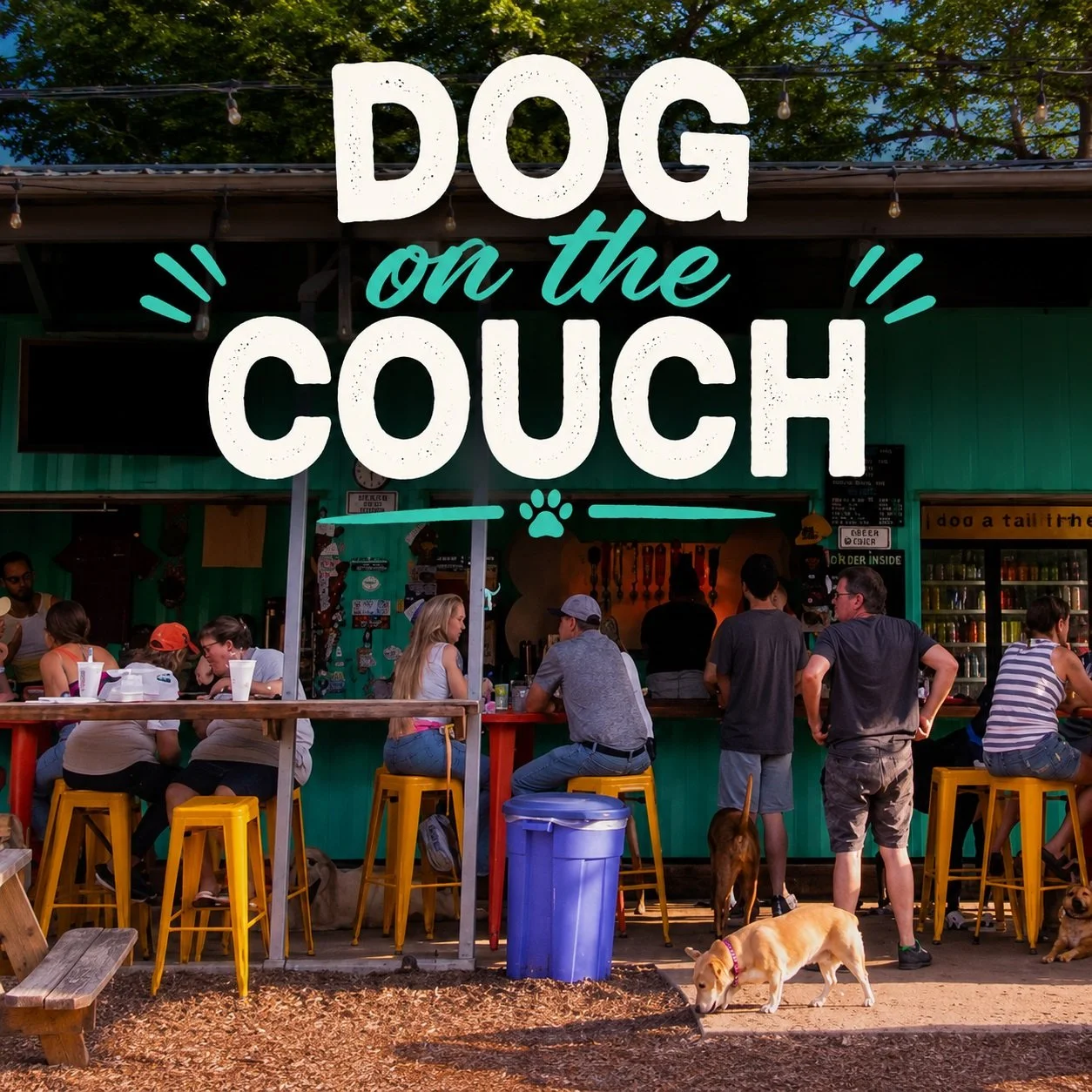 Do You Let Your Dog on the Couch? The Real Answer Is More Complicated Than You Think