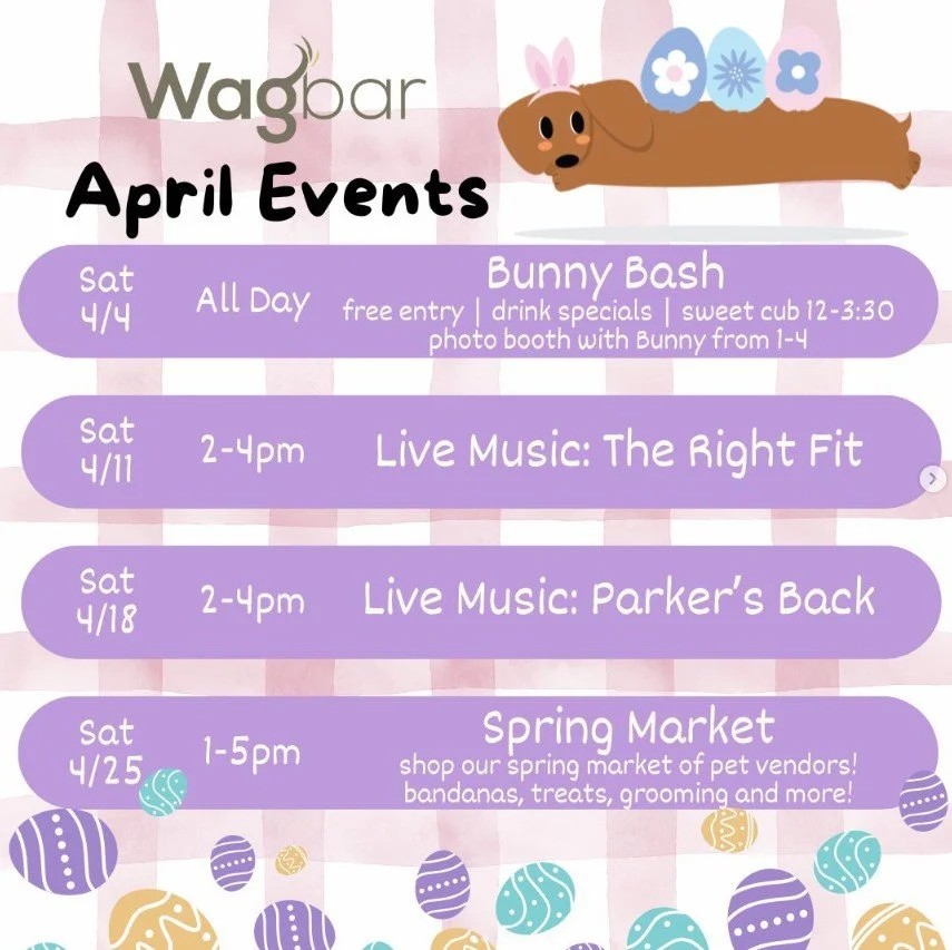 April 2026 Events | Wagbar