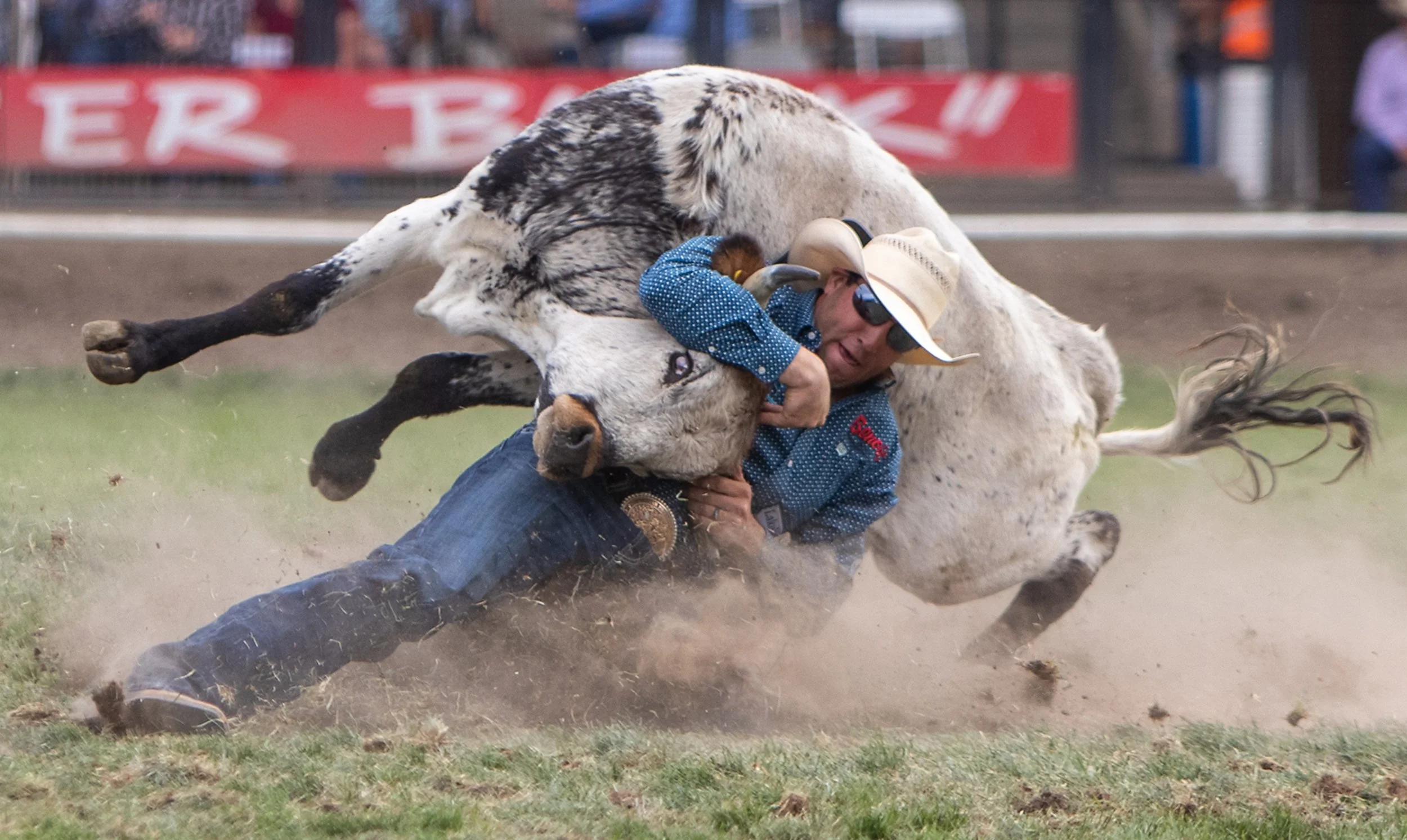 Scott Guenthner of Provost, Alberta, Canada bulldogs a steer for a score of 6.5 in the steer wrestling event at the Pendleton Roundup on Sept. 15, 2021 in Pendleton, Ore.