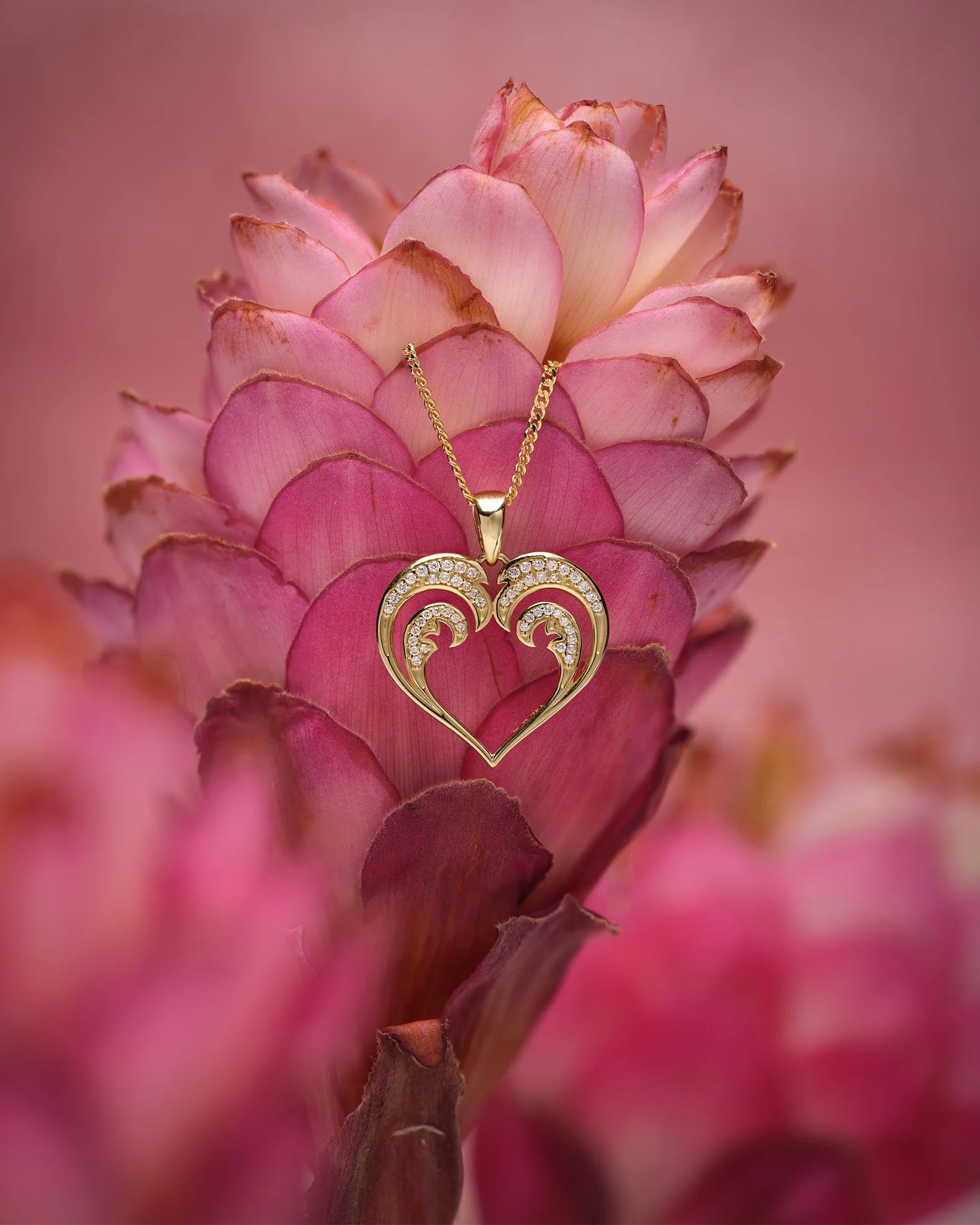 02.14.26 Nalu Heart.jpg