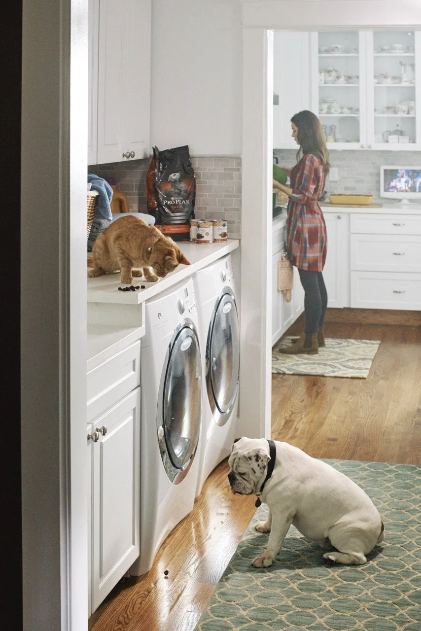 151006-PETSMART-SHOT13-071 Large.jpeg