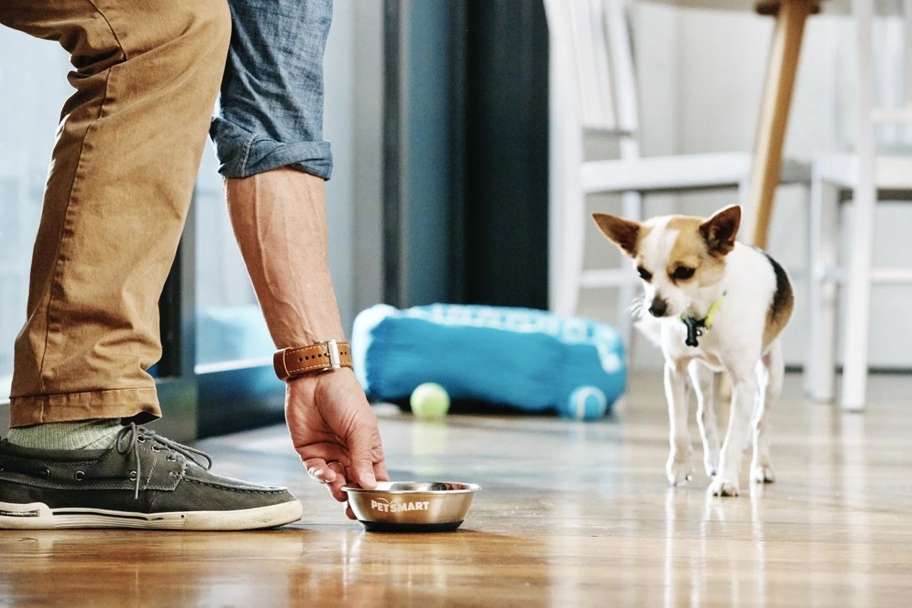 160308-PETSMART-SHOT15-059 Large.jpeg