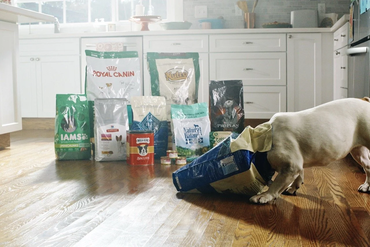 151006-PETSMART-SHOT15-077 Large.jpeg