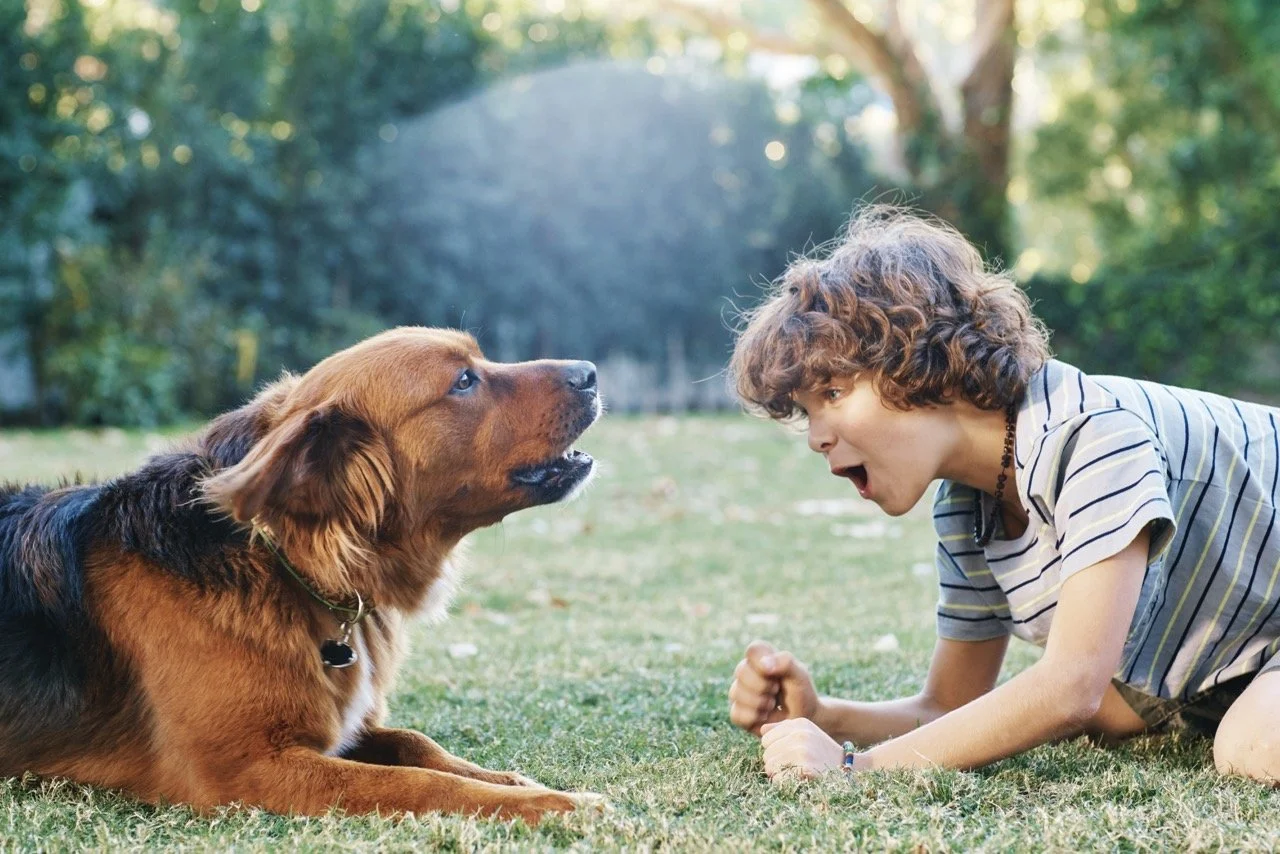 160308-PETSMART-SHOT04-072 Large.jpeg