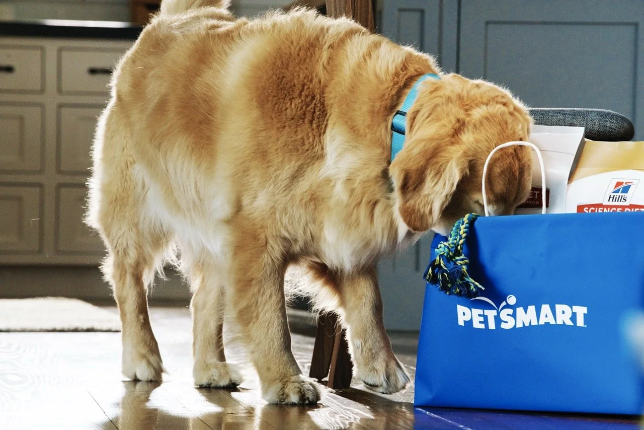 160308-PETSMART-SHOT19-101 Large.jpeg