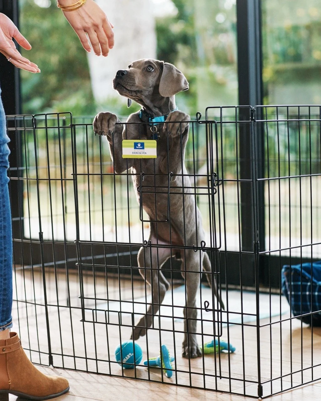 151203-PETSMART-SHOT07-043 Large.jpeg