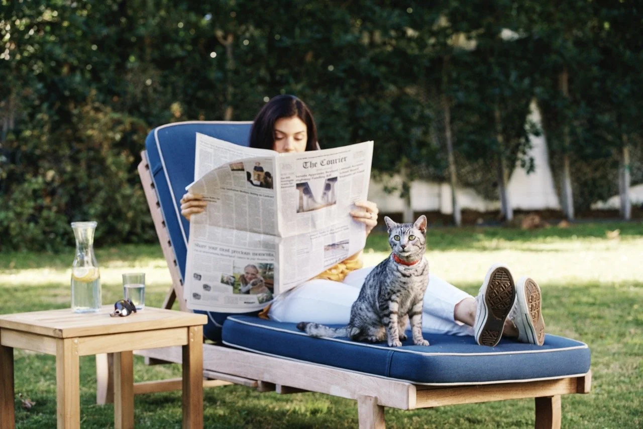 160308-PETSMART-SHOT05-034 Large.jpeg