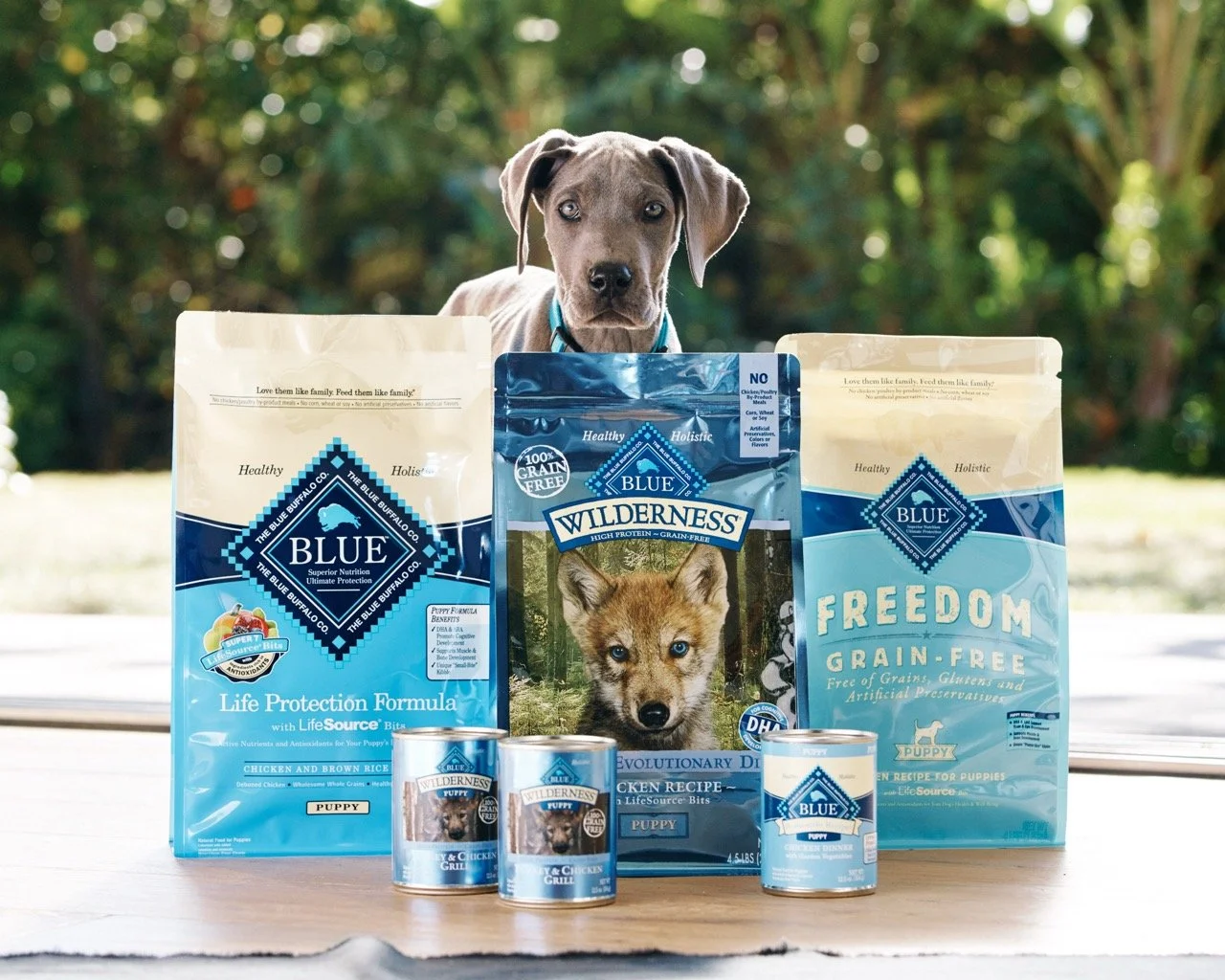 151203-PETSMART-SHOT10-147 Large.jpeg