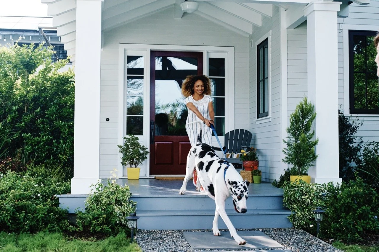 160308-PETSMART-SHOT12-029 Large.jpeg