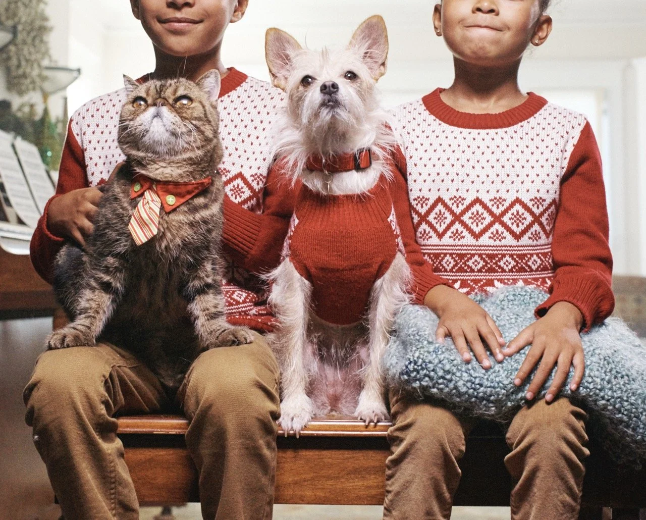 151006-PETSMART-SHOT05-060 Large.jpeg