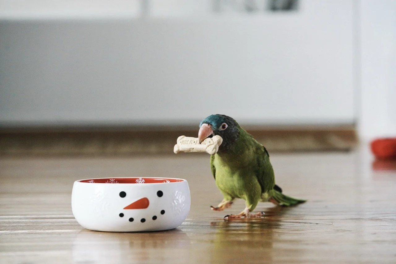 151006-PETSMART-SHOT11-074 Large.jpeg