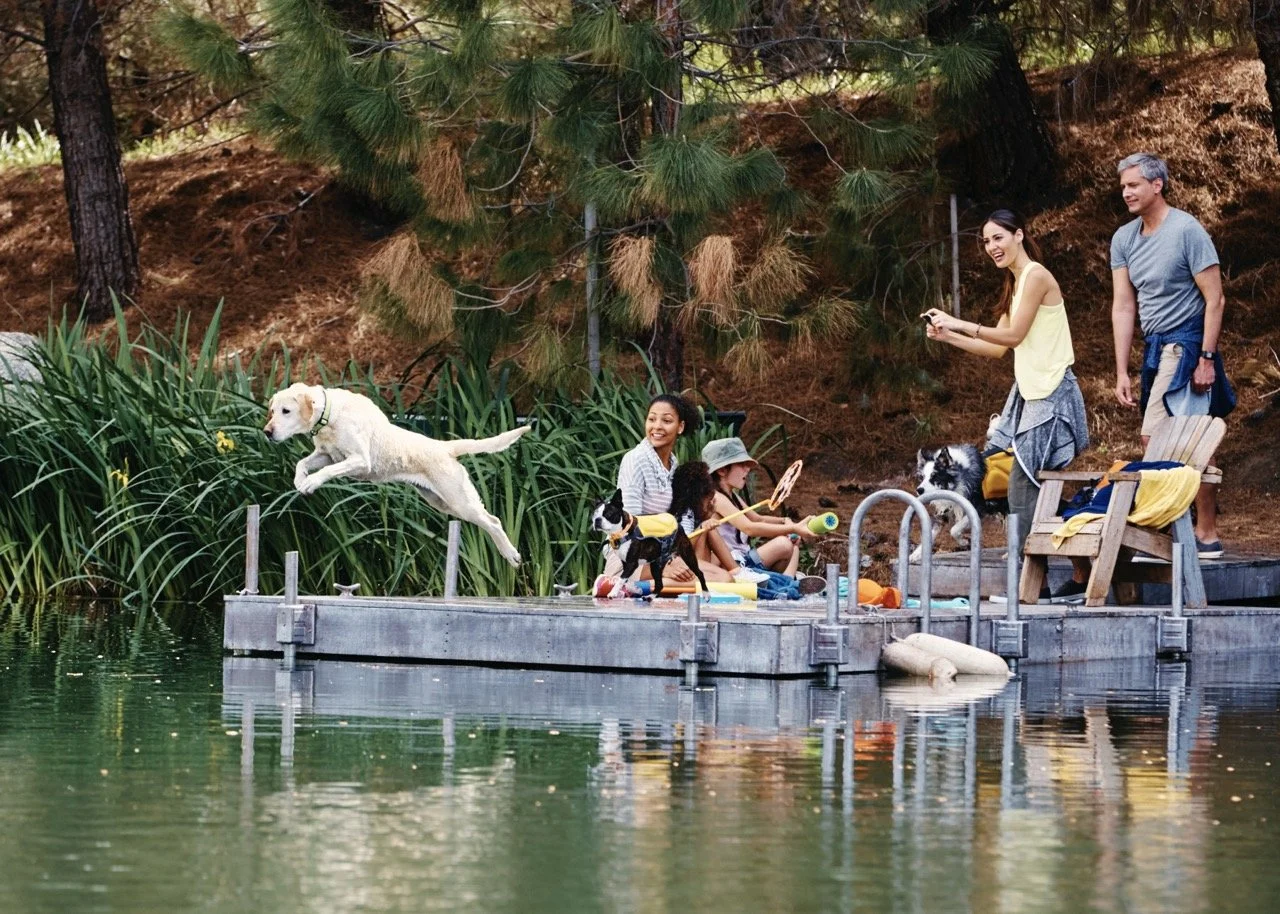 160406-PETSMART-SHOT02-160 Large.jpeg