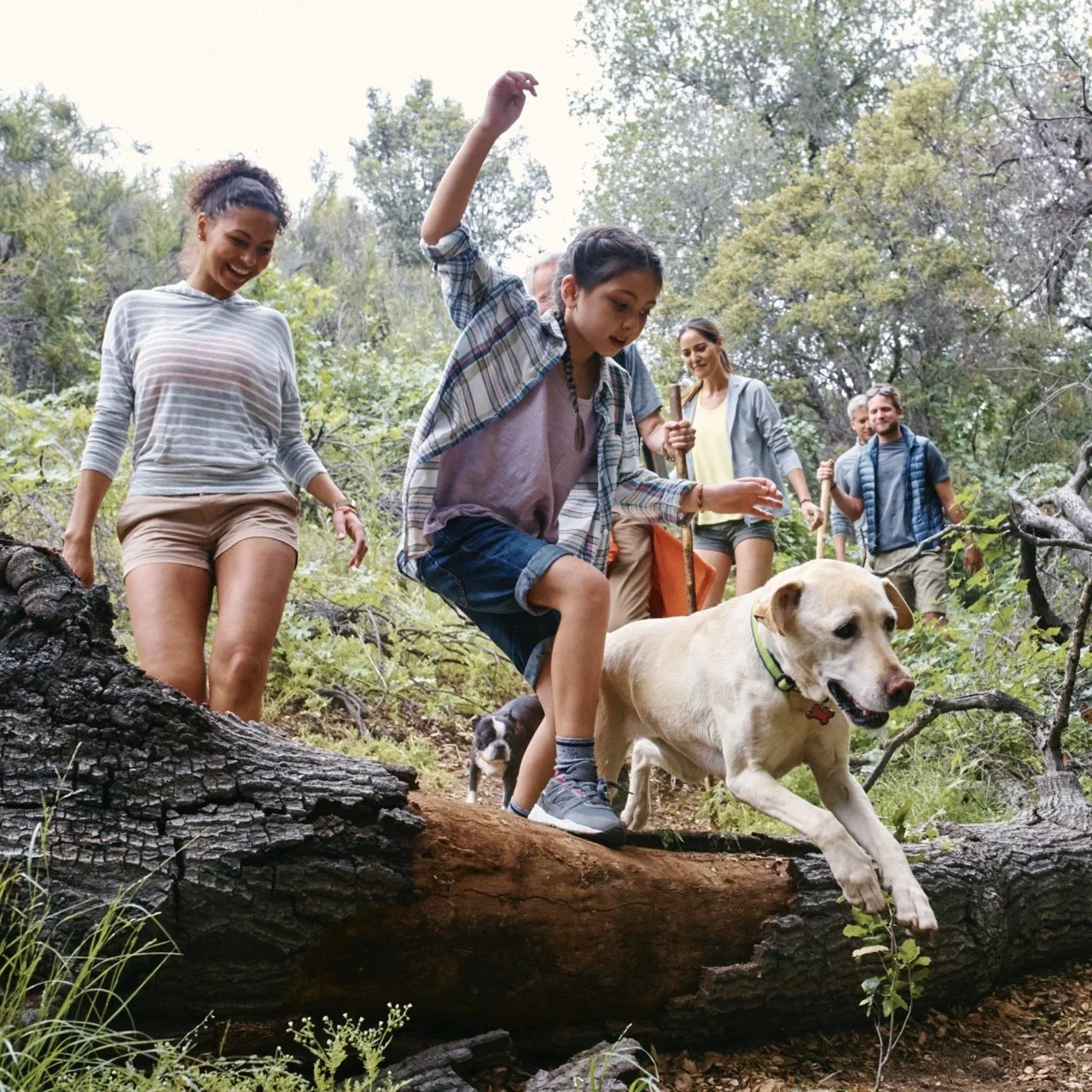160406-PETSMART-SHOT03-169 Large.jpeg