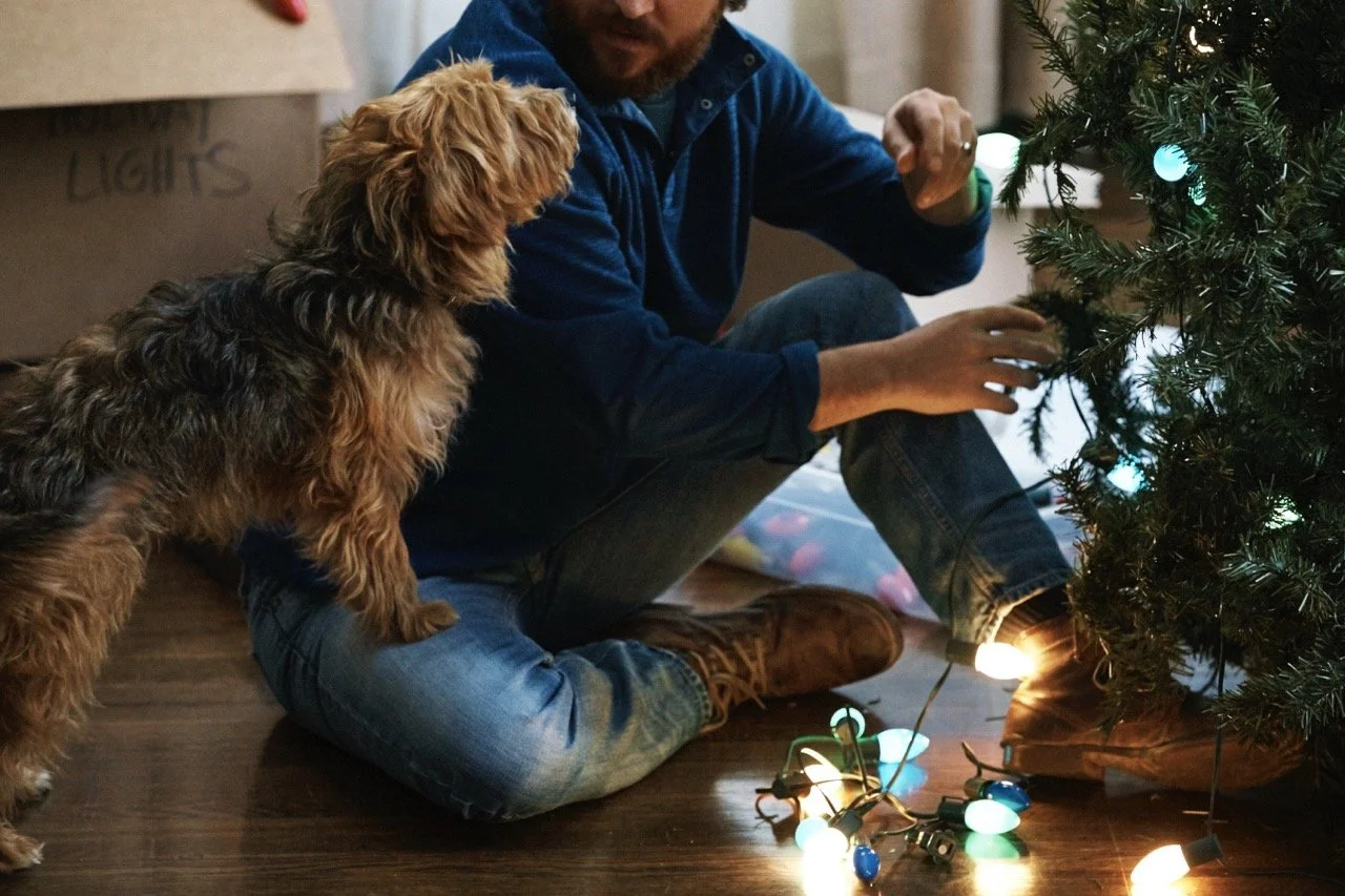 161011-PETSMART-SHOT03-002 Large.jpeg