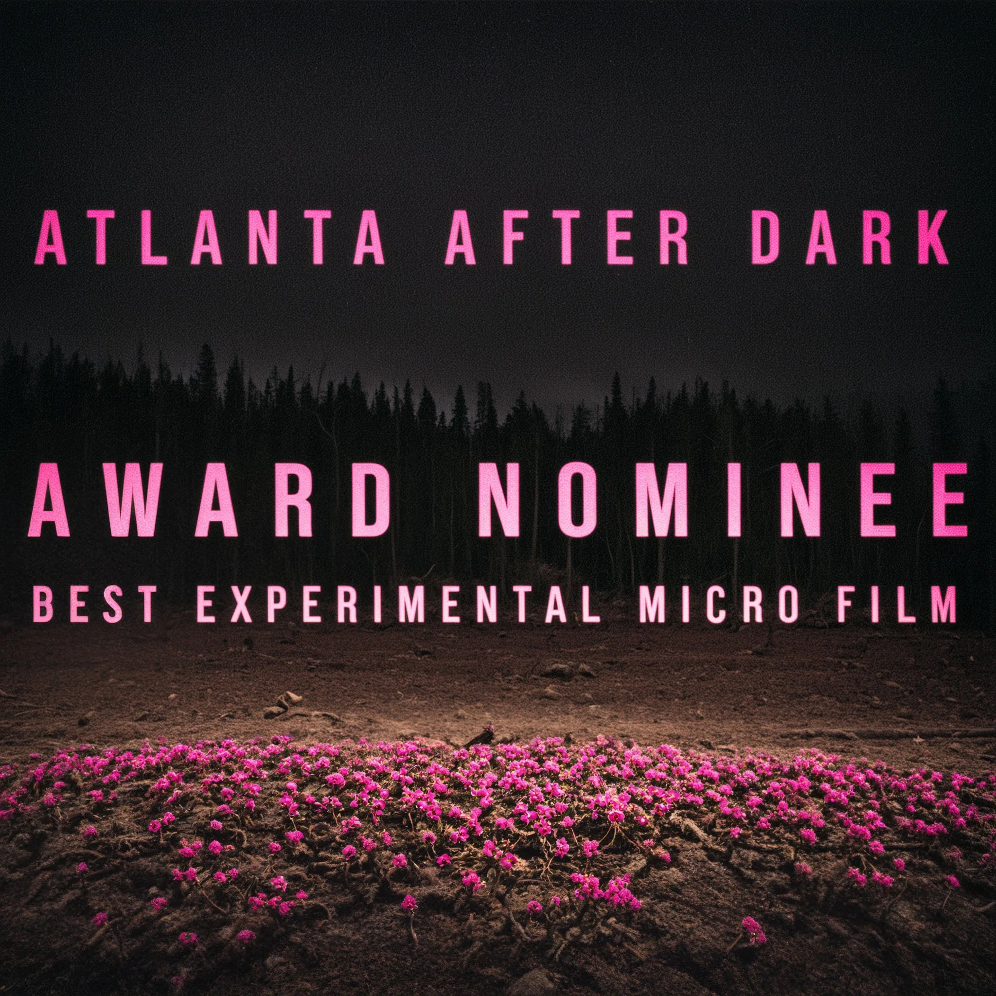 AtlantaAfterDark.jpg
