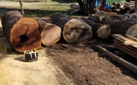 logs+%281%29.jpg