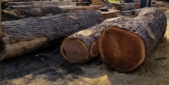logs+%282%29.jpg