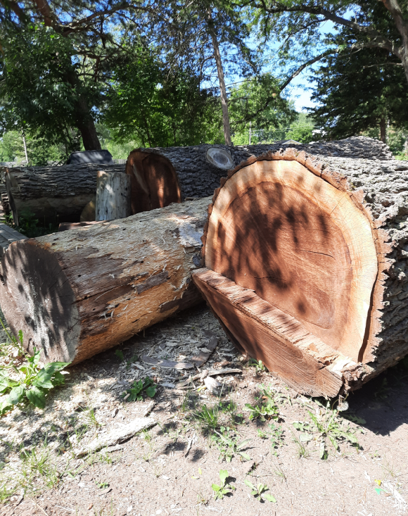 log big.png